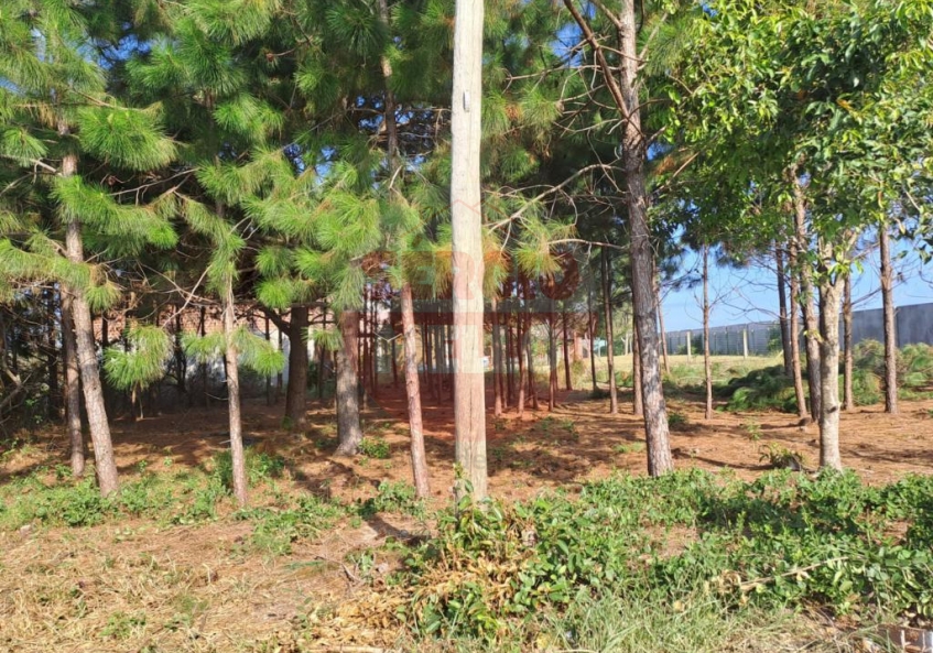 Terreno